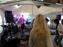 Molenwijkfeesten