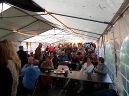 Molenwijkfeesten