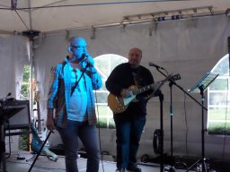 Molenwijkfeesten