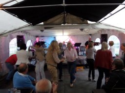 Molenwijkfeesten