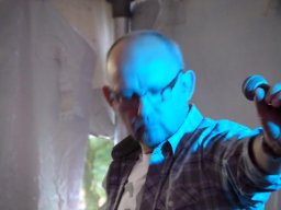 Molenwijkfeesten